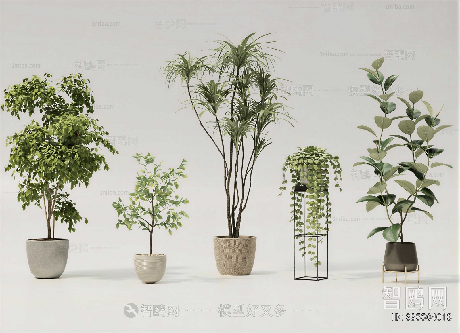 Modern Ground Green Plant Potted Plants