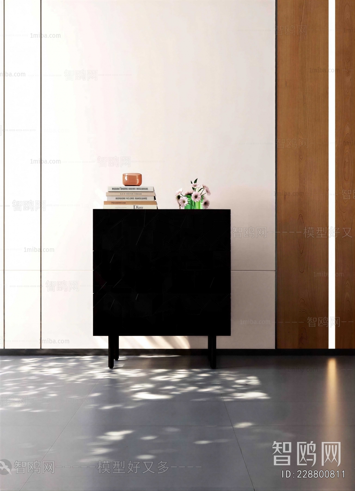 Modern Entrance Cabinet