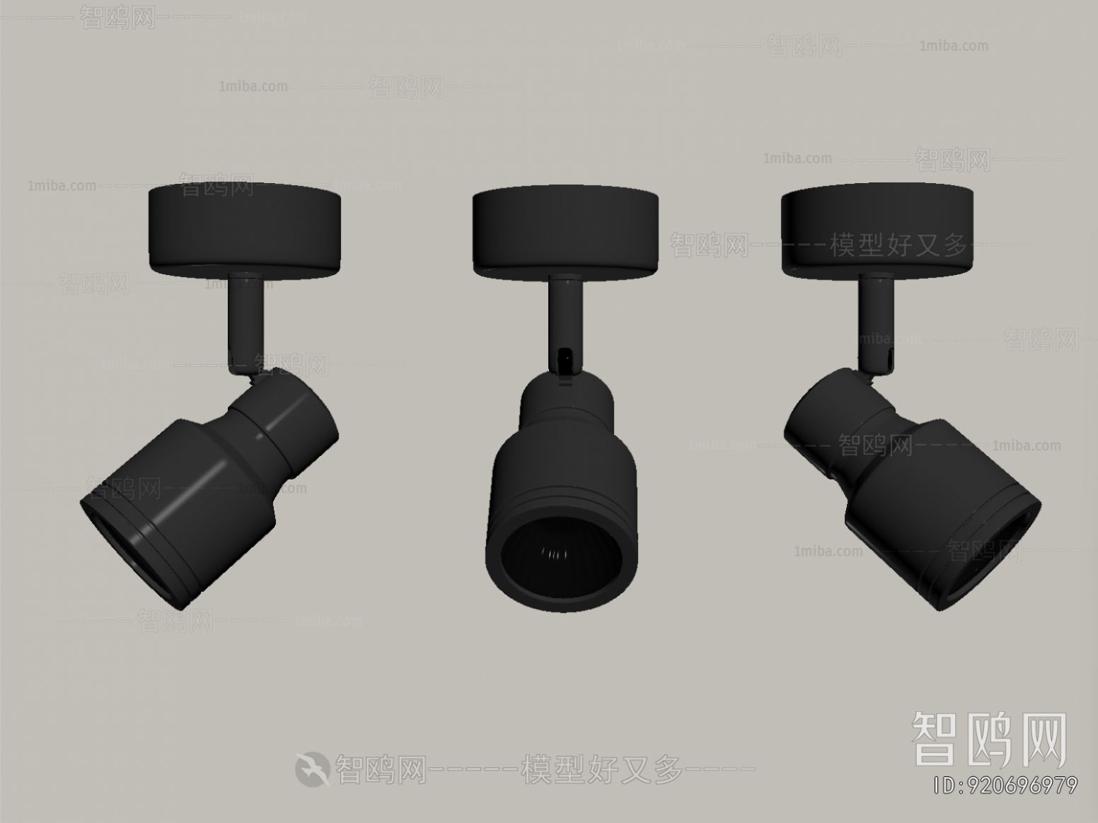 Modern Downlight Spot Light