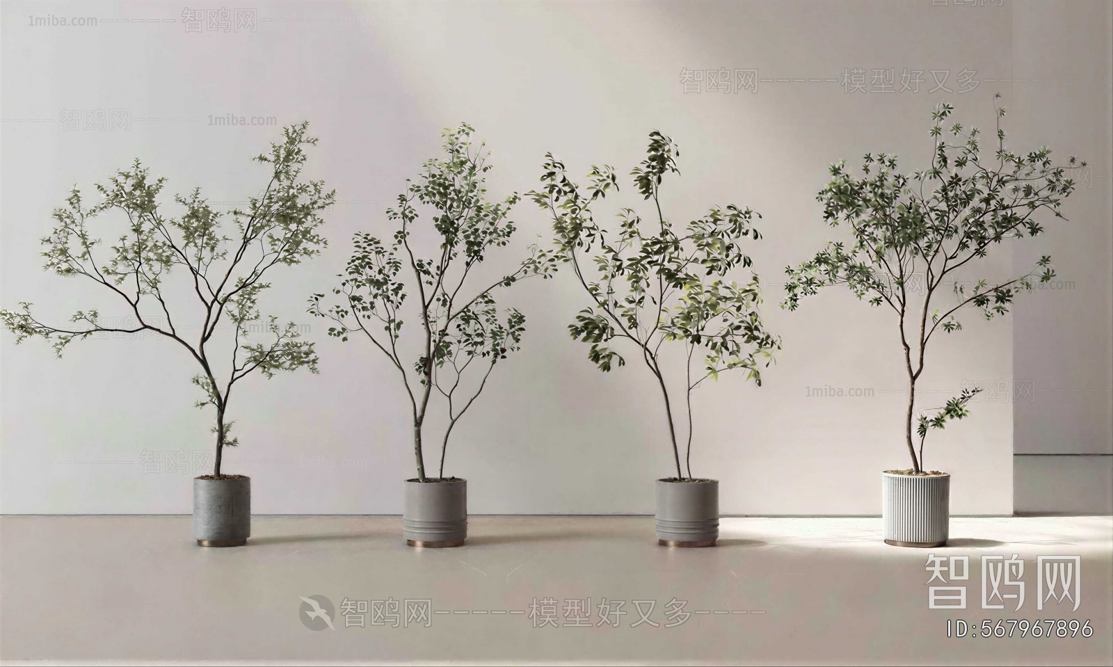 Modern Ground Green Plant Potted Plants