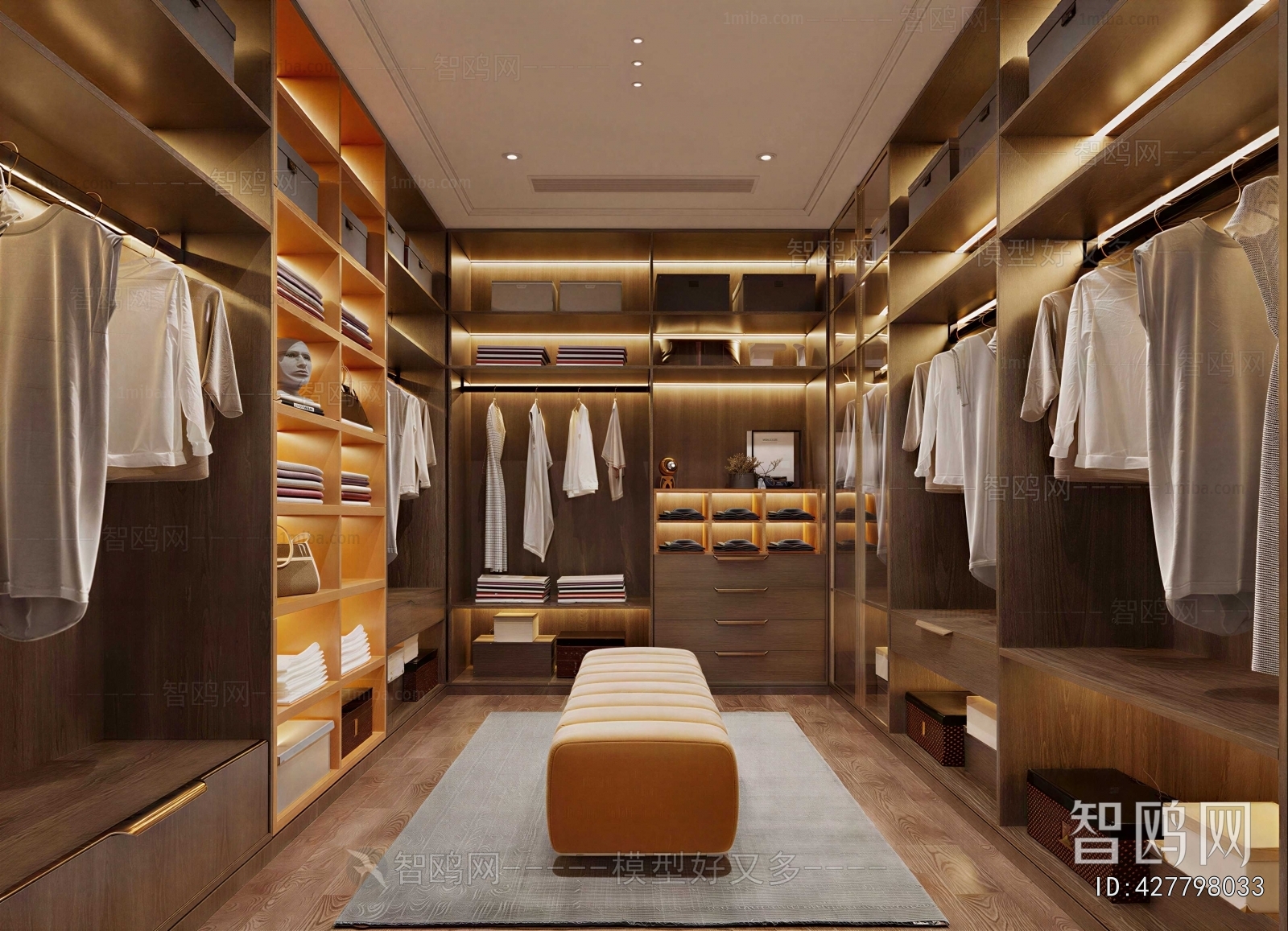 Modern Clothes Storage Area