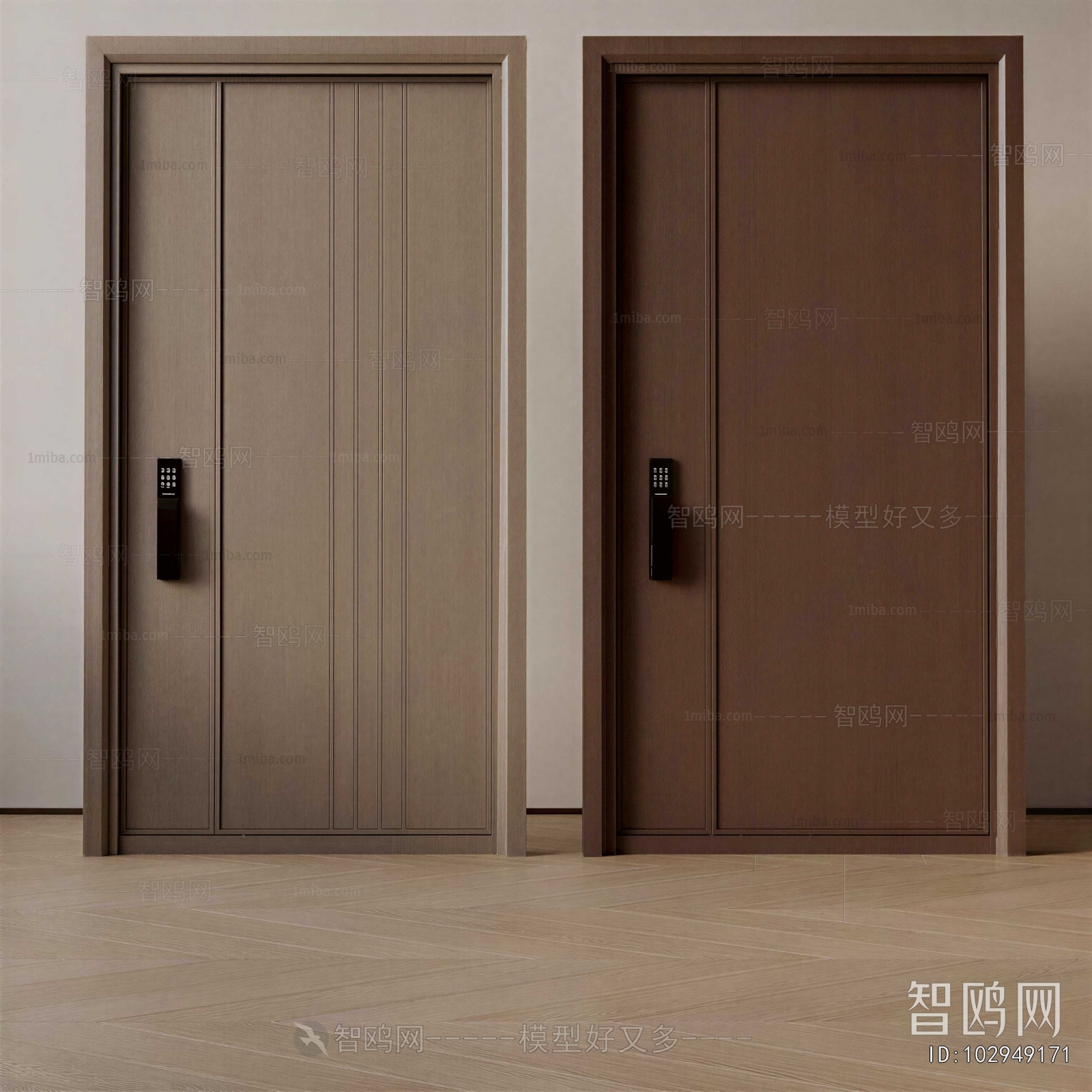 Modern Entrance Door