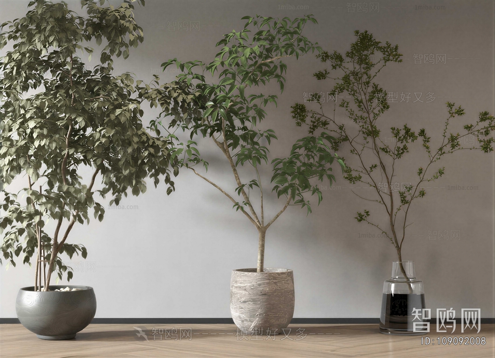 Modern Ground Green Plant Potted Plants