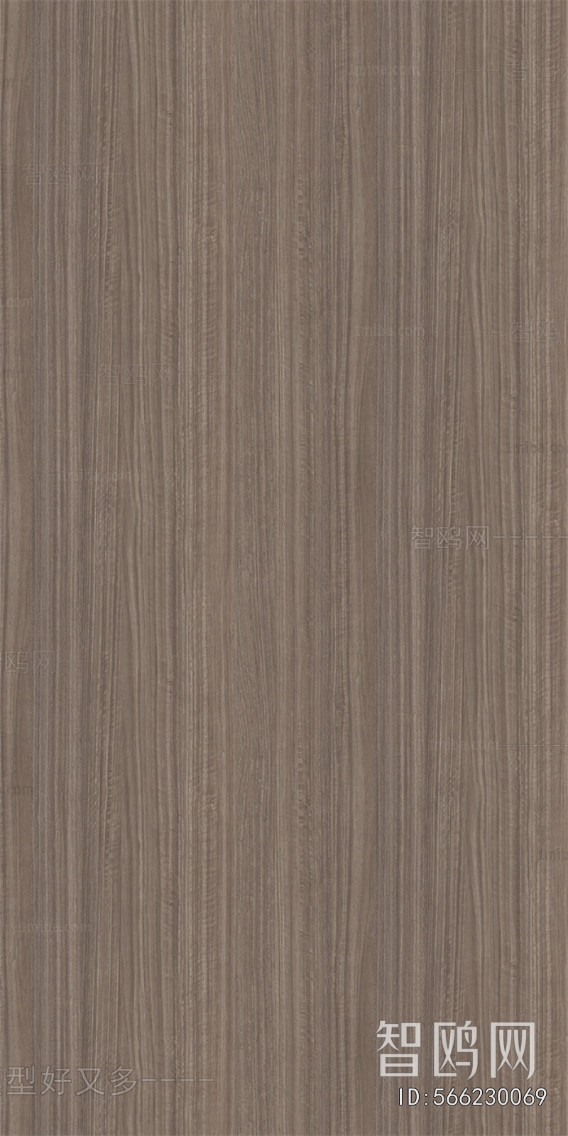 Wood Texture