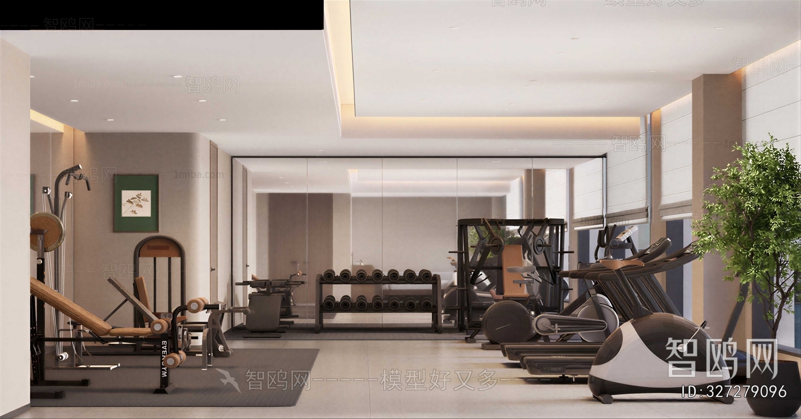 Modern Gym