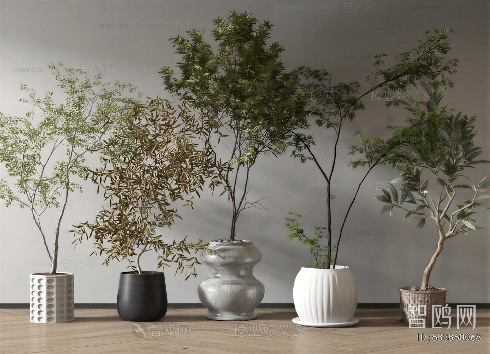 Modern Ground Green Plant Potted Plants