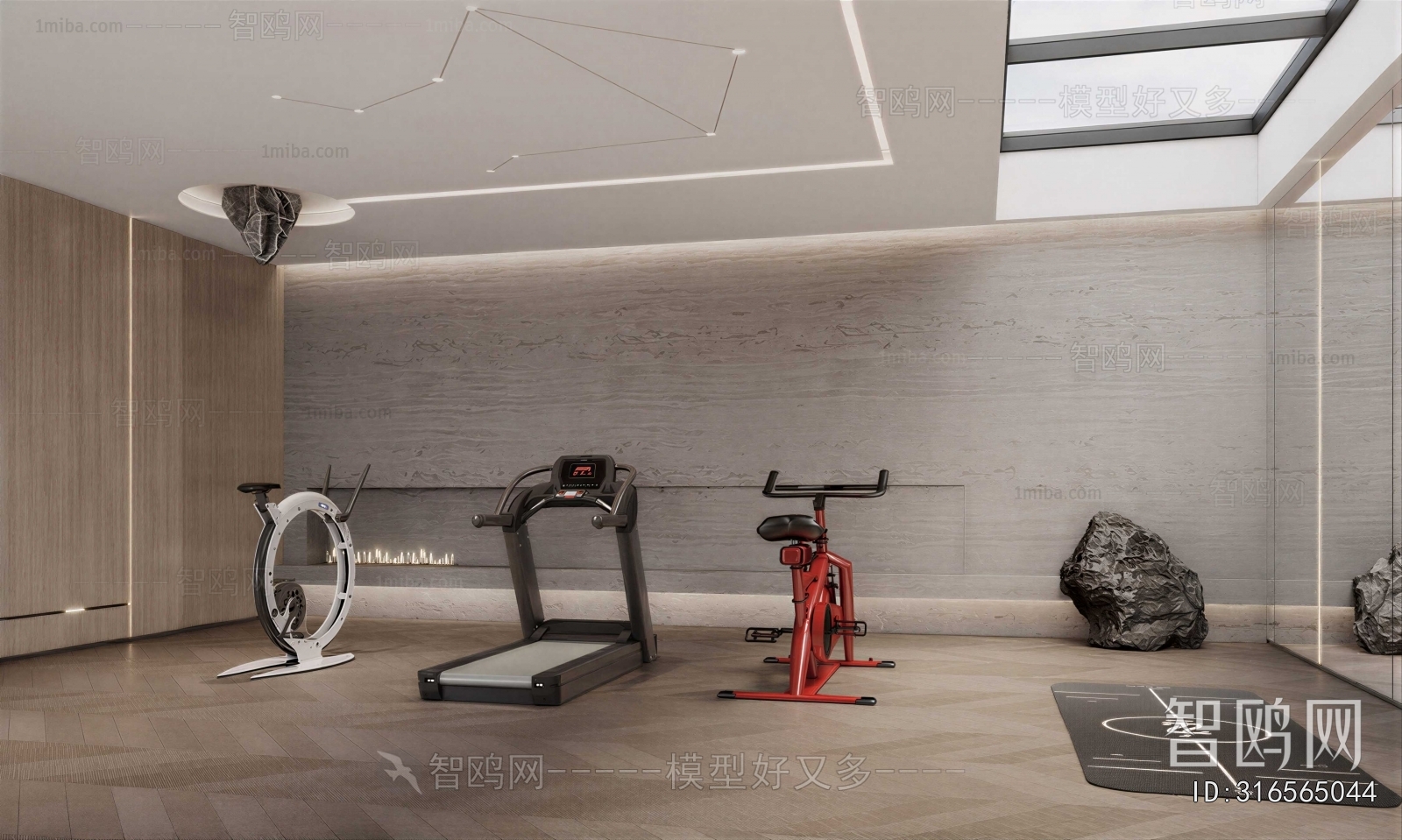 Modern Home Fitness Room