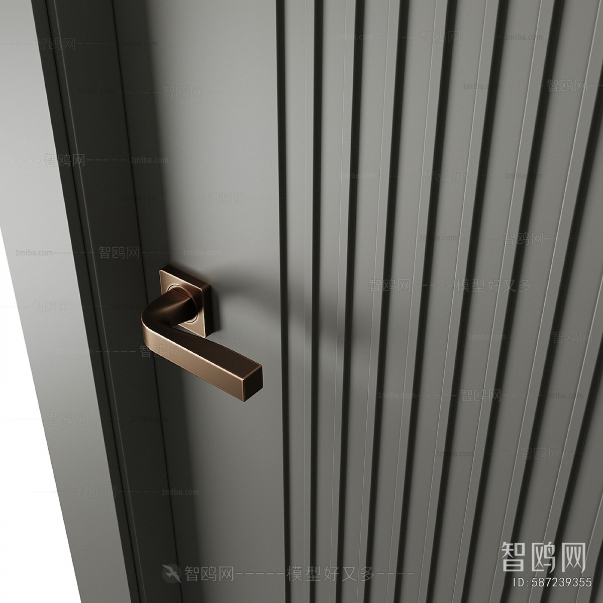 Modern Entrance Door