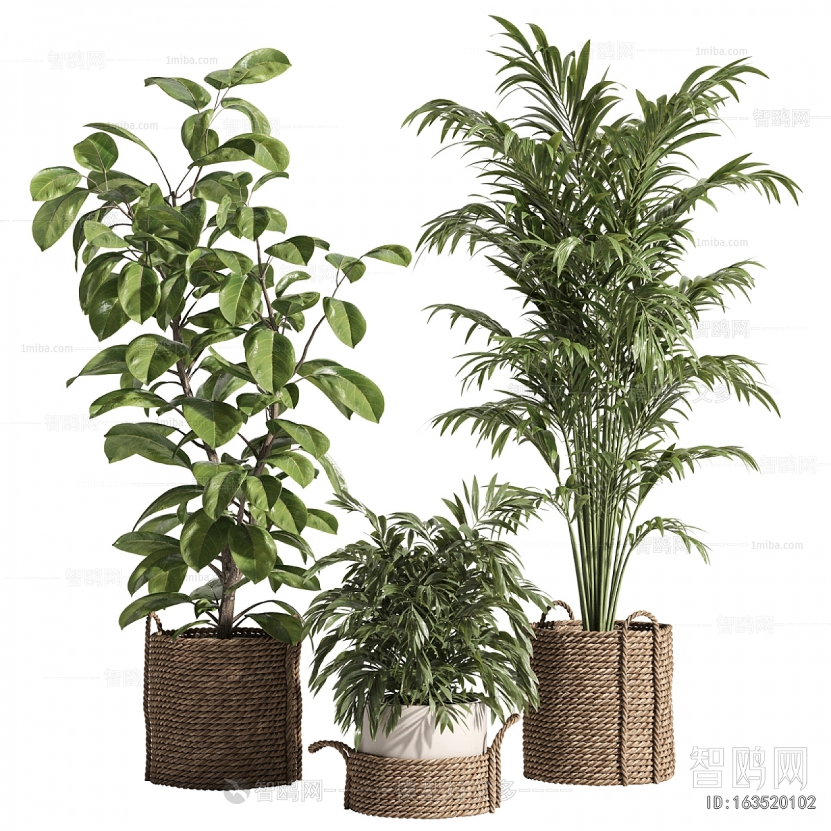 Modern Ground Green Plant Potted Plants