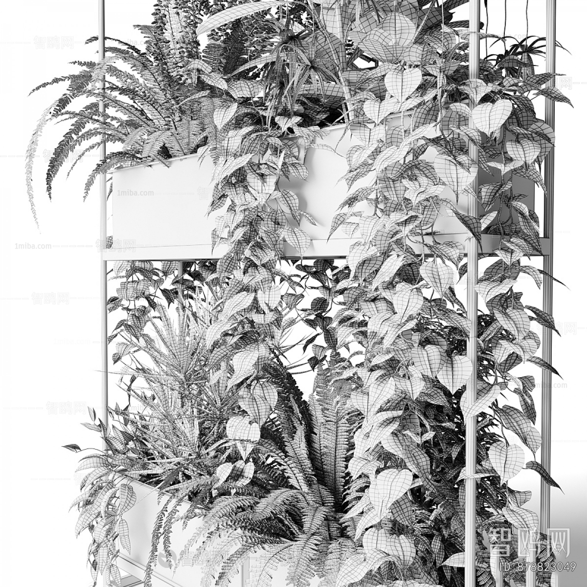 Modern Decorative Frame