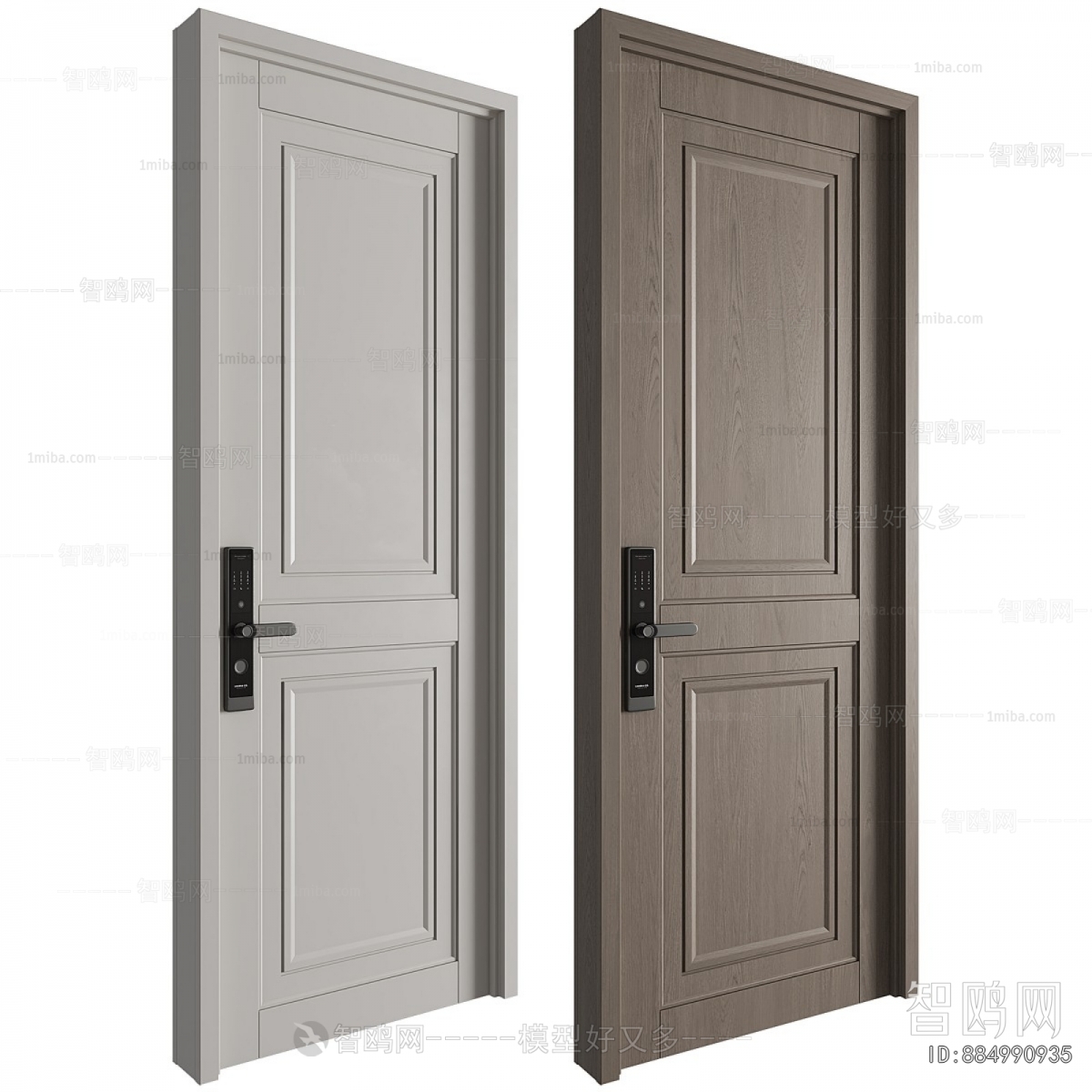 Modern Entrance Door