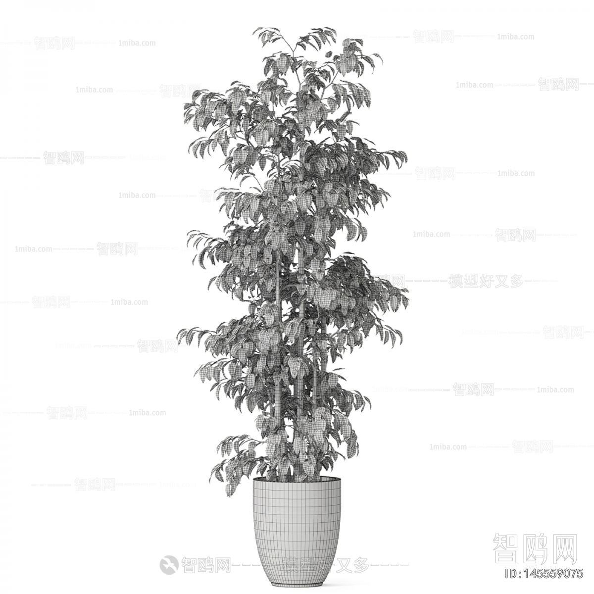 Modern Ground Green Plant Potted Plants