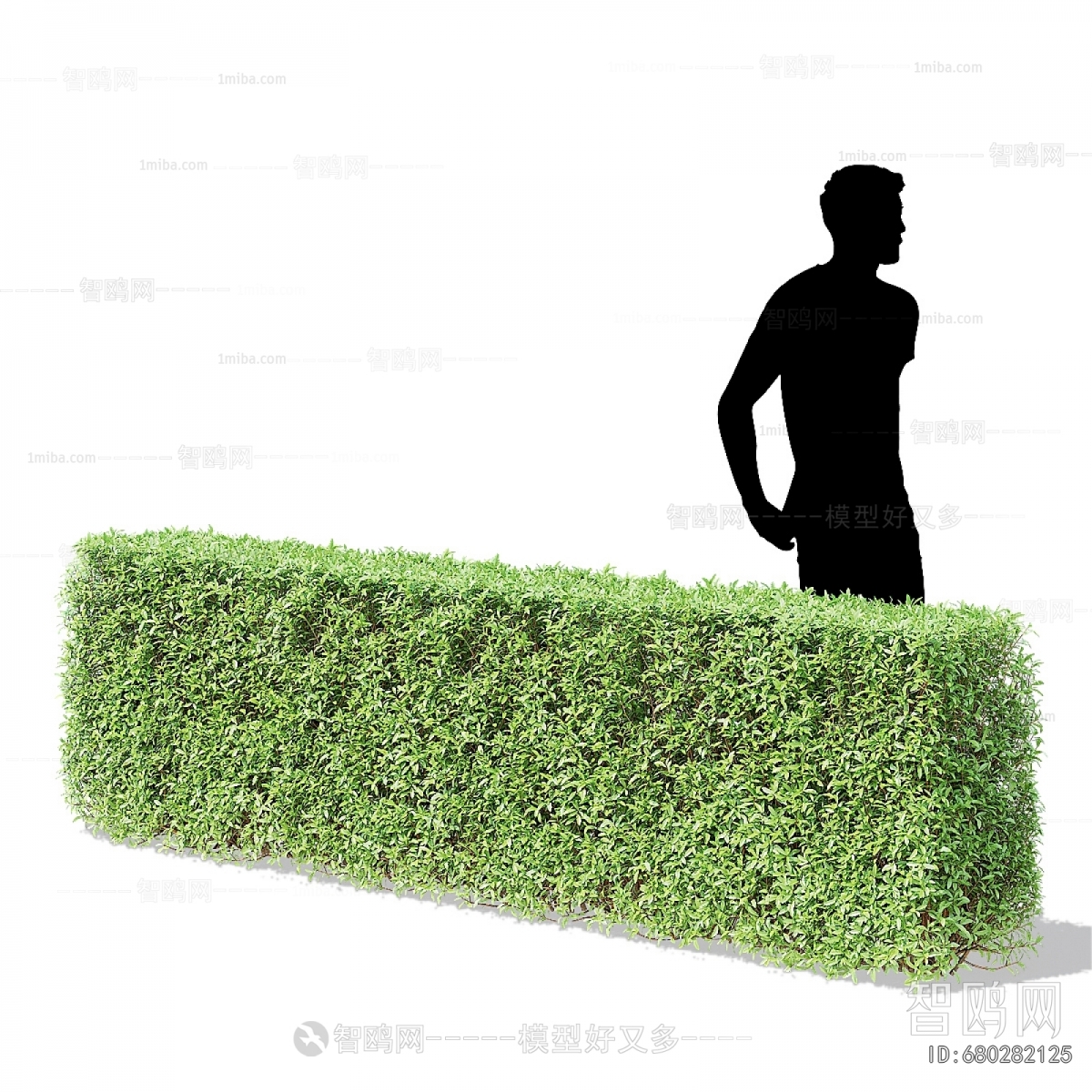 Modern Shrubbery