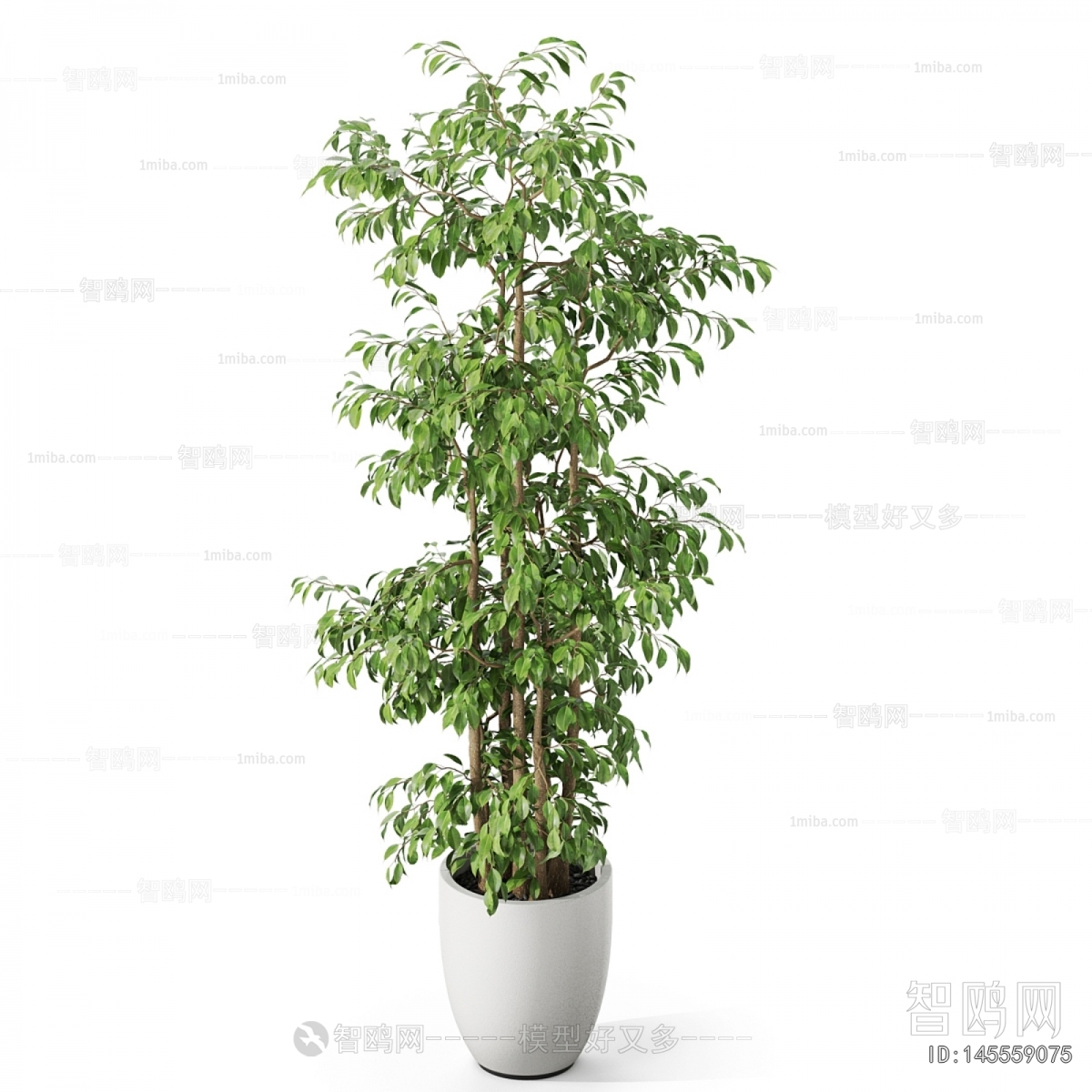 Modern Ground Green Plant Potted Plants