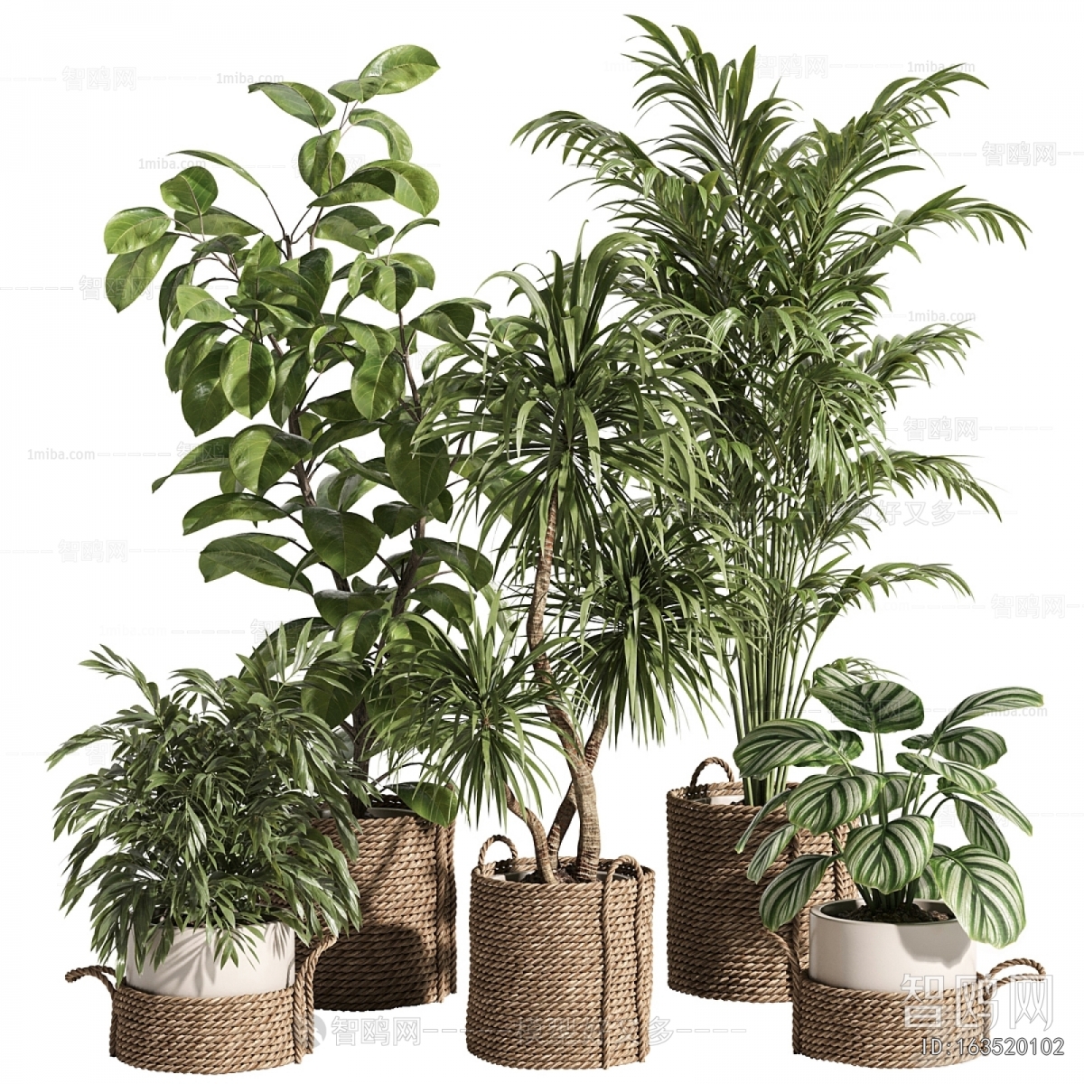 Modern Ground Green Plant Potted Plants