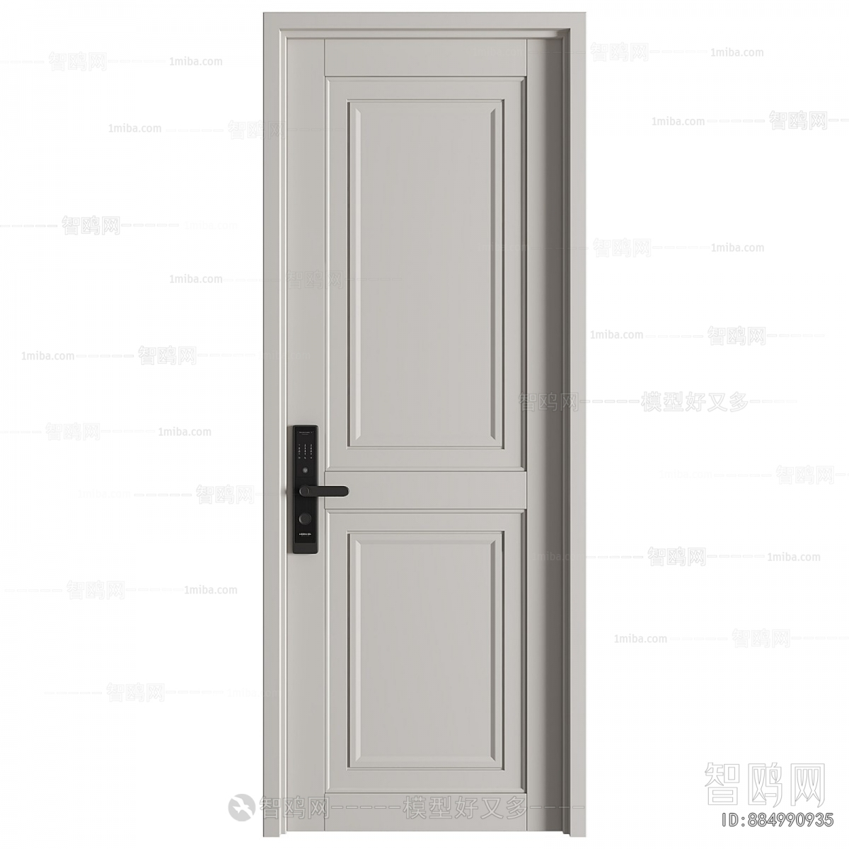 Modern Entrance Door