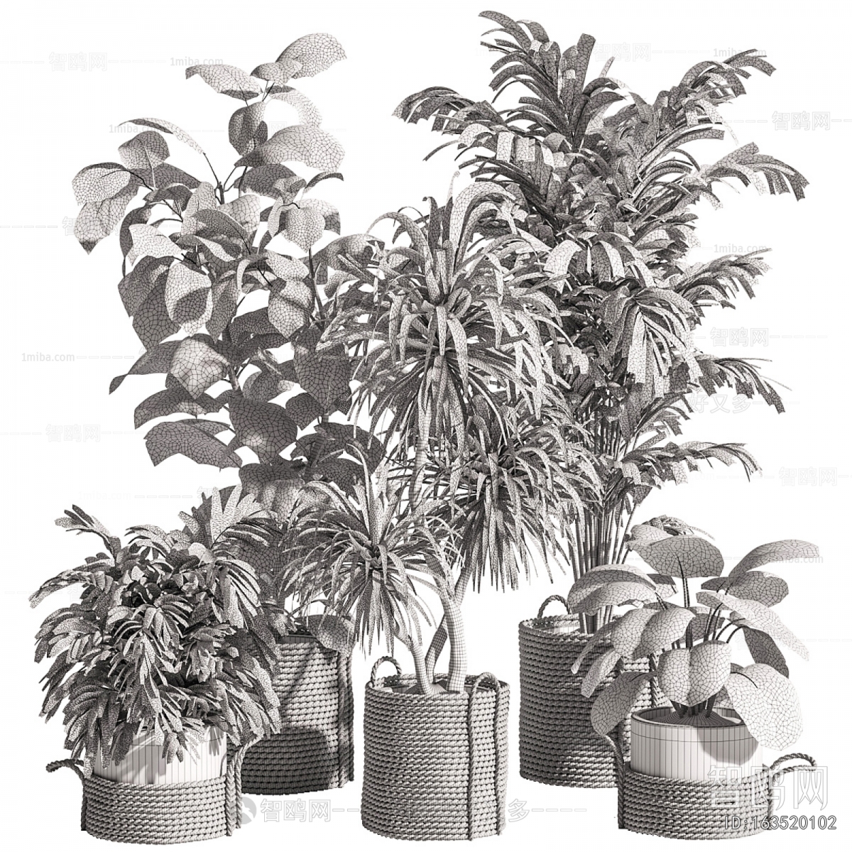 Modern Ground Green Plant Potted Plants