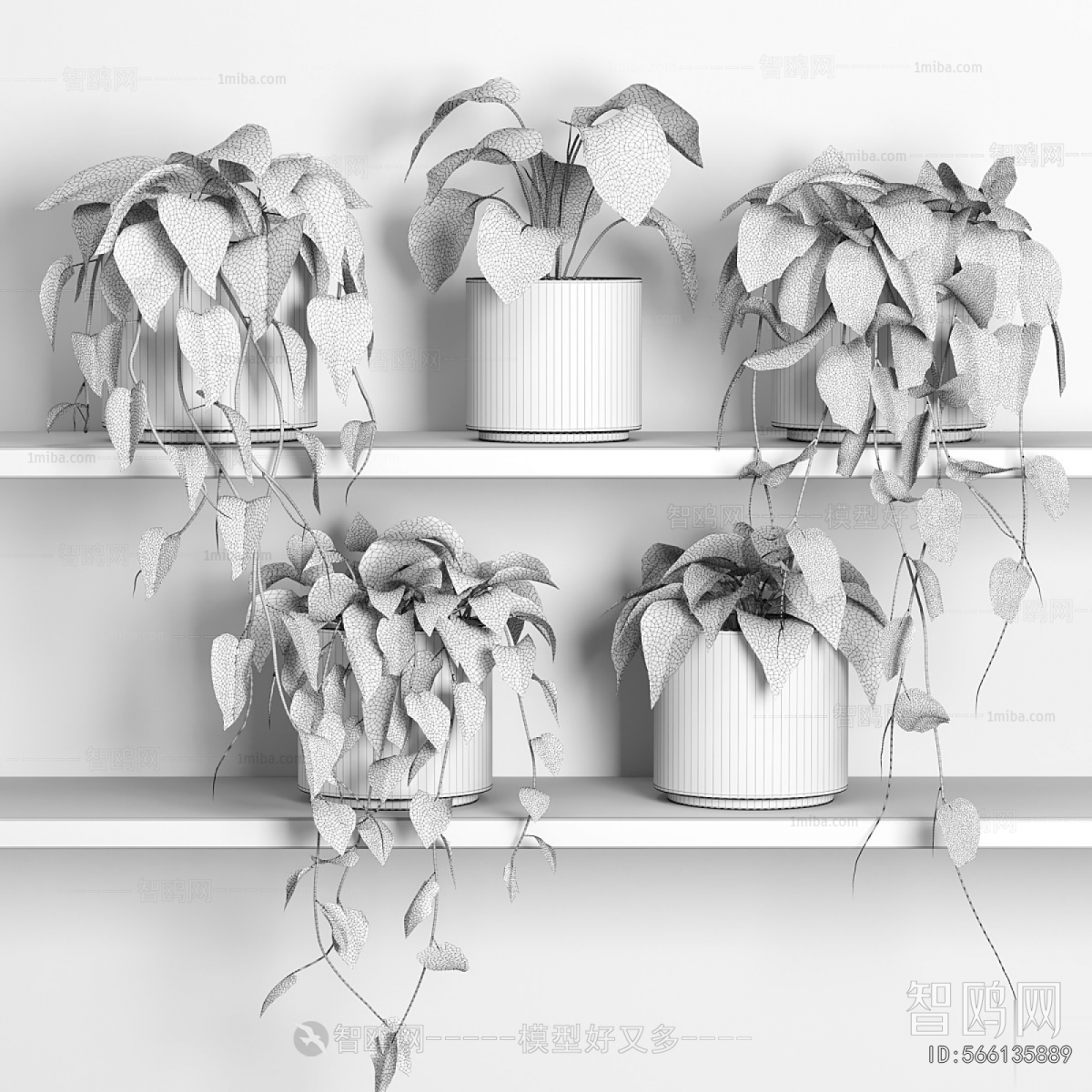 Modern Potted Green Plant