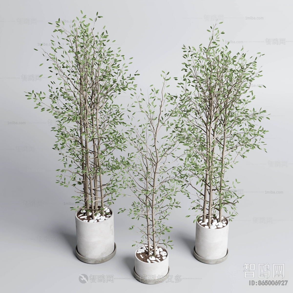 Modern Ground Green Plant Potted Plants