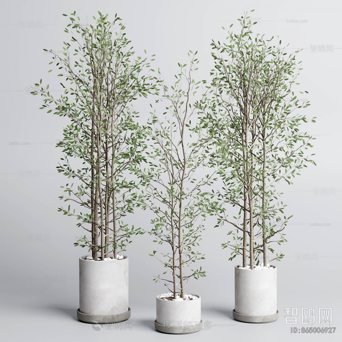 Modern Ground Green Plant Potted Plants