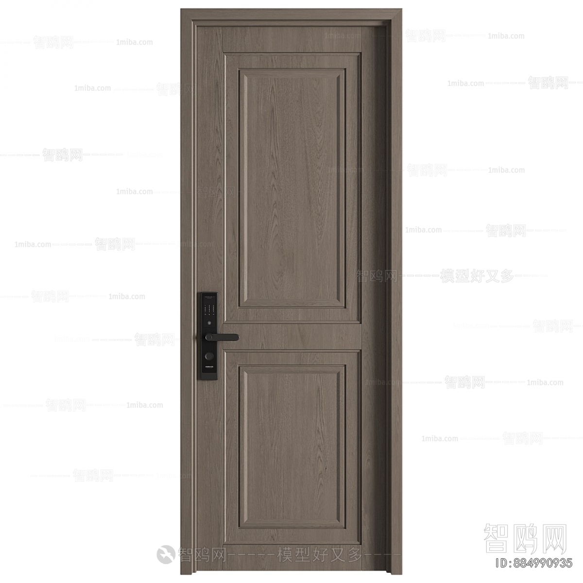 Modern Entrance Door