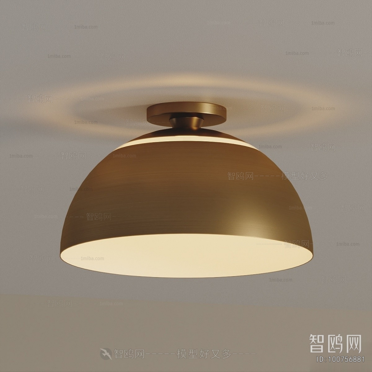 Modern Ceiling Ceiling Lamp