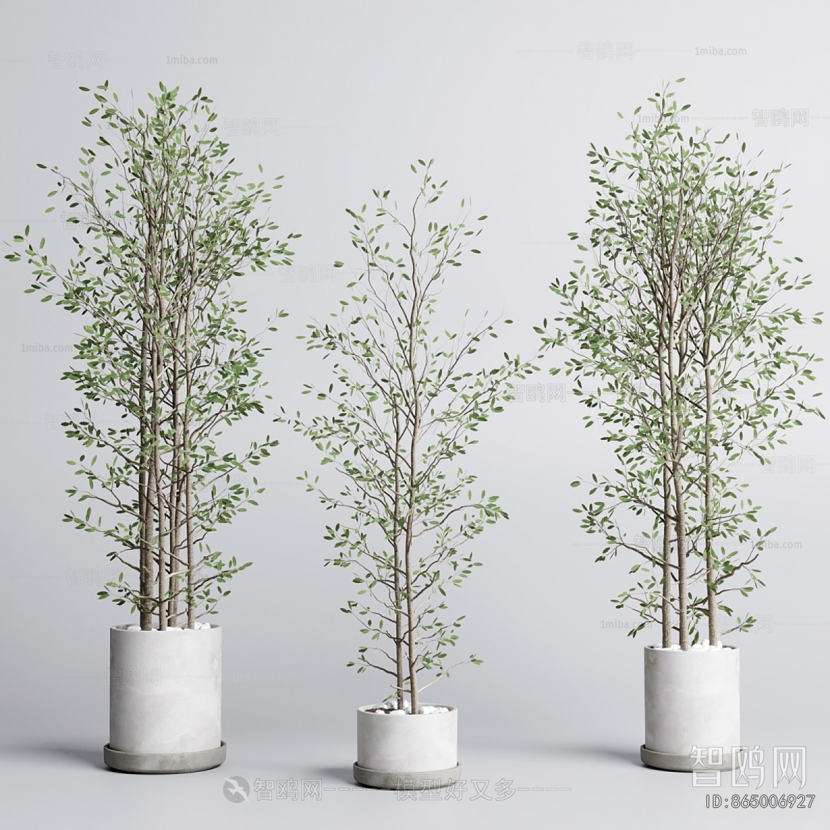 Modern Ground Green Plant Potted Plants