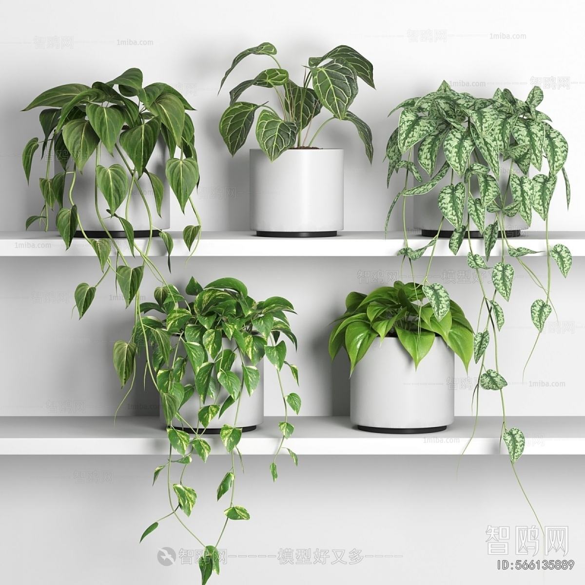 Modern Potted Green Plant