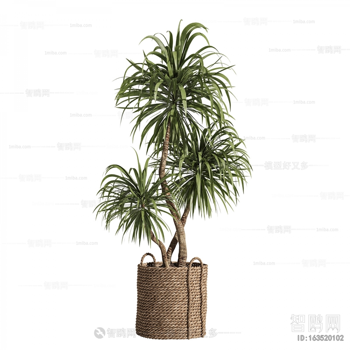 Modern Ground Green Plant Potted Plants
