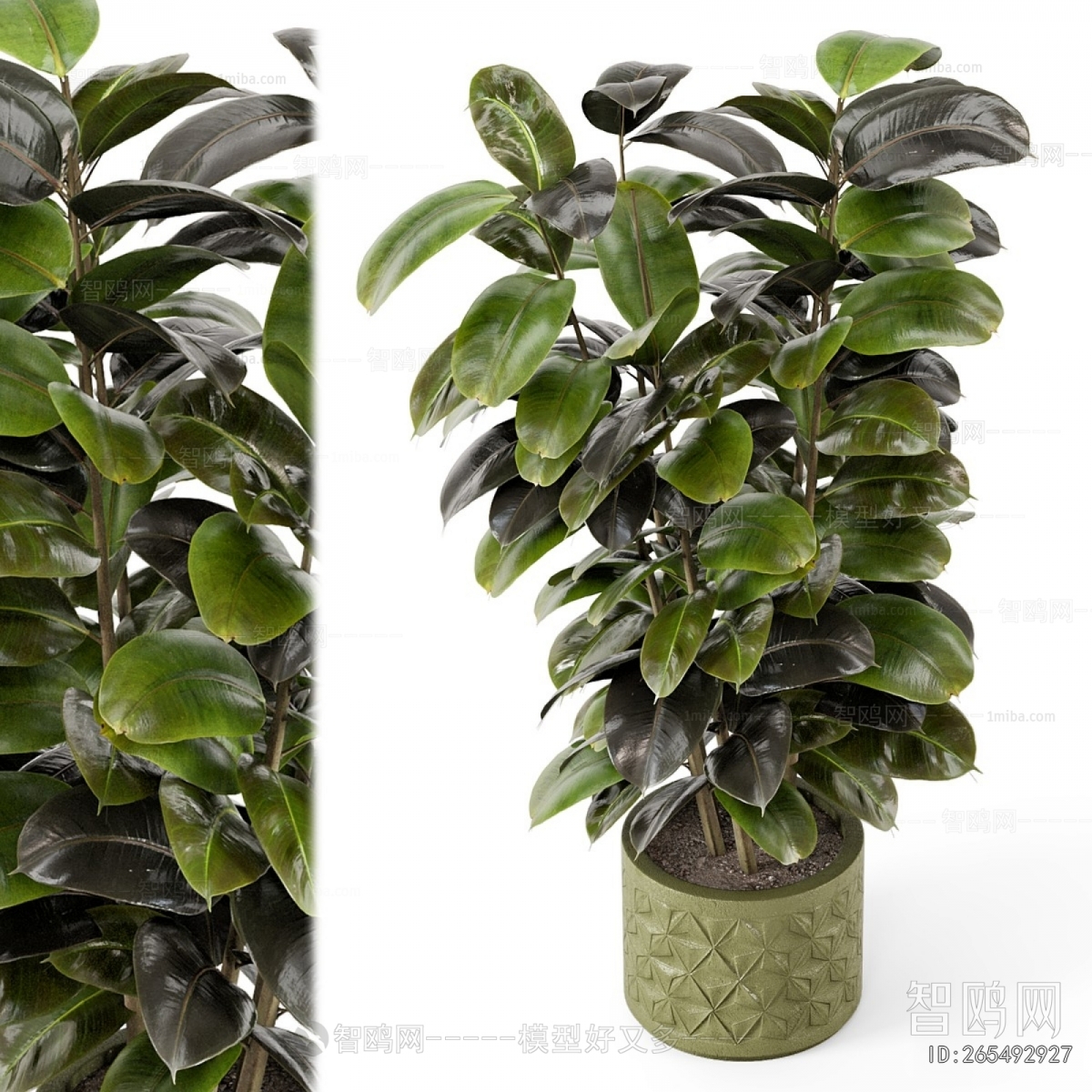 Modern Ground Green Plant Potted Plants