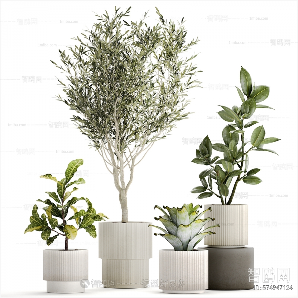 Modern Ground Green Plant Potted Plants