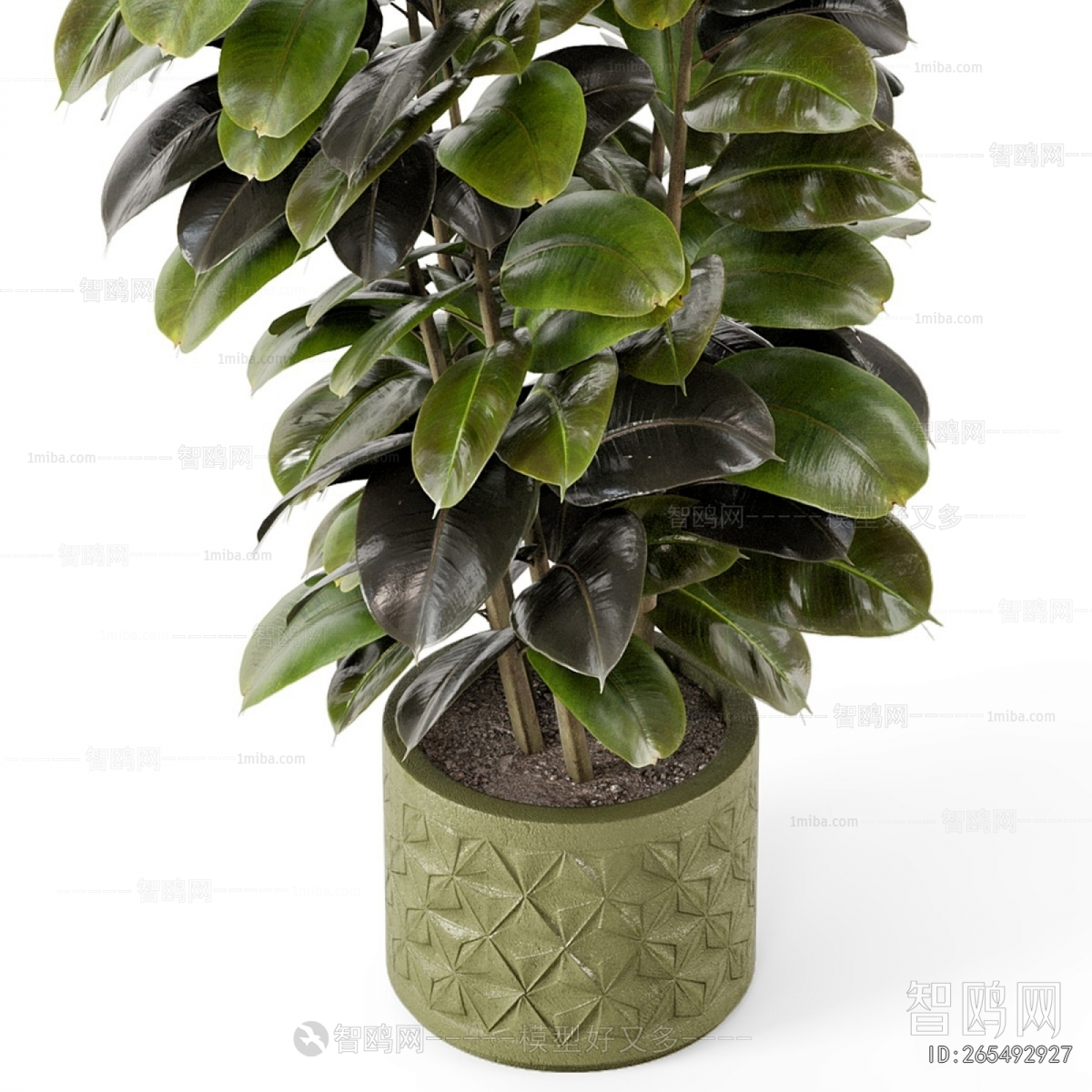 Modern Ground Green Plant Potted Plants