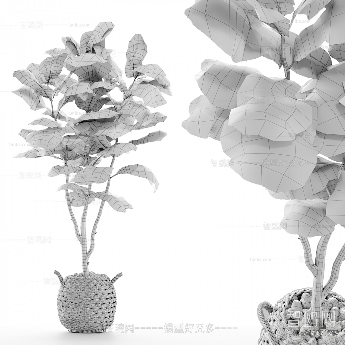 Modern Ground Green Plant Potted Plants