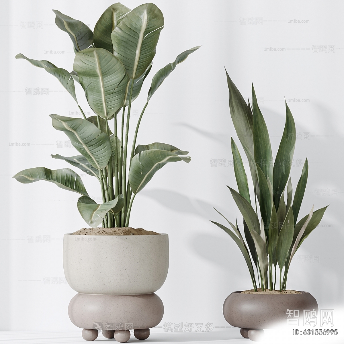 Modern Ground Green Plant Potted Plants