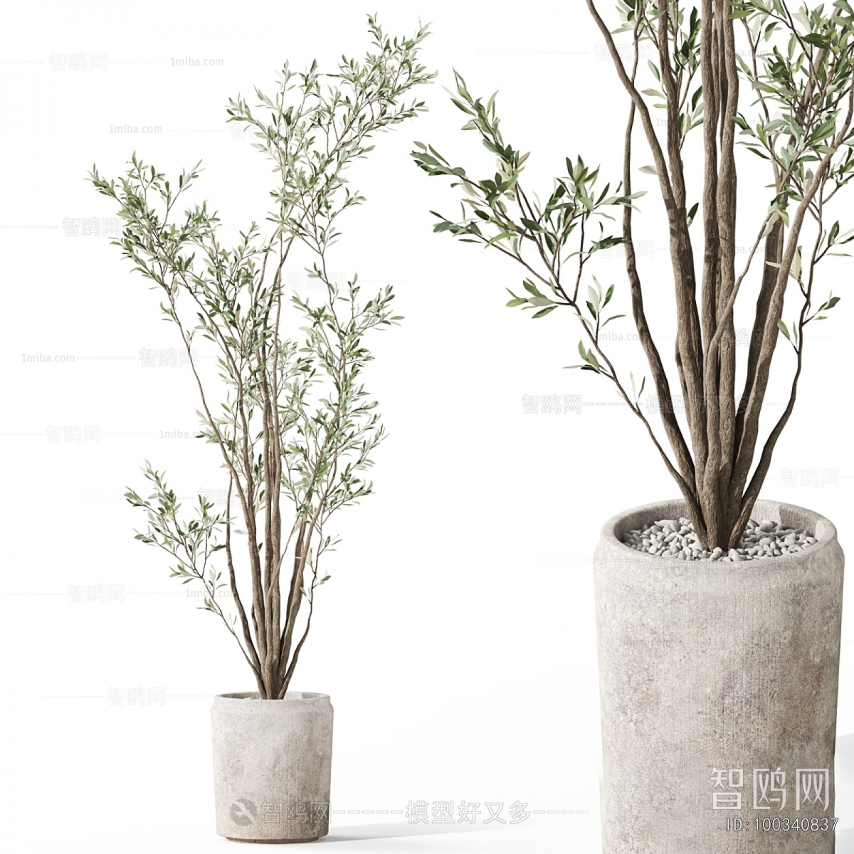 Modern Ground Green Plant Potted Plants