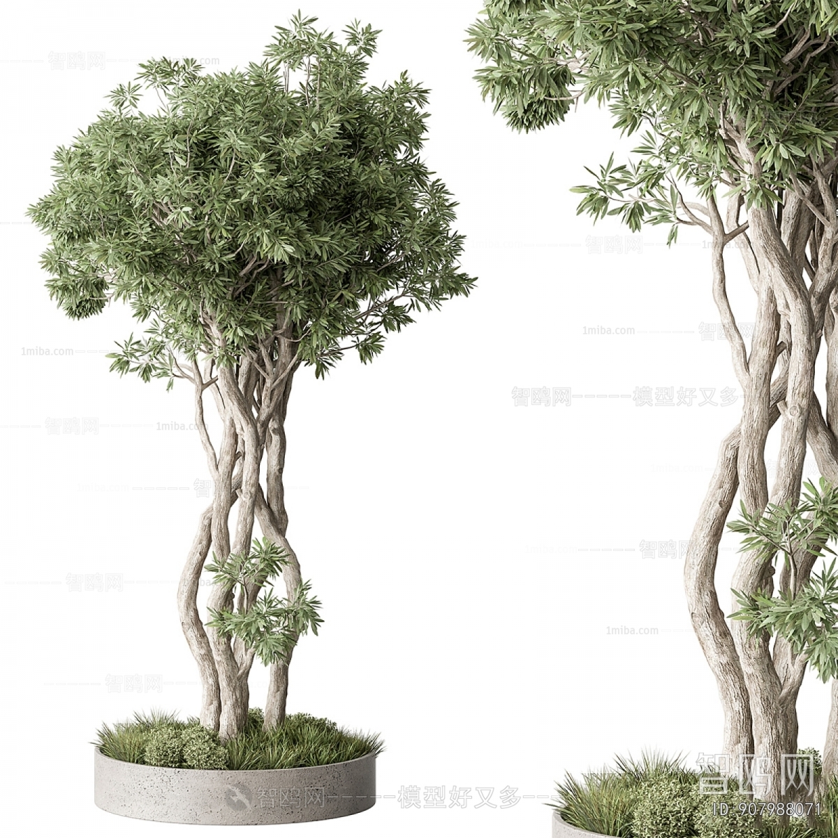 Modern Ground Green Plant Potted Plants