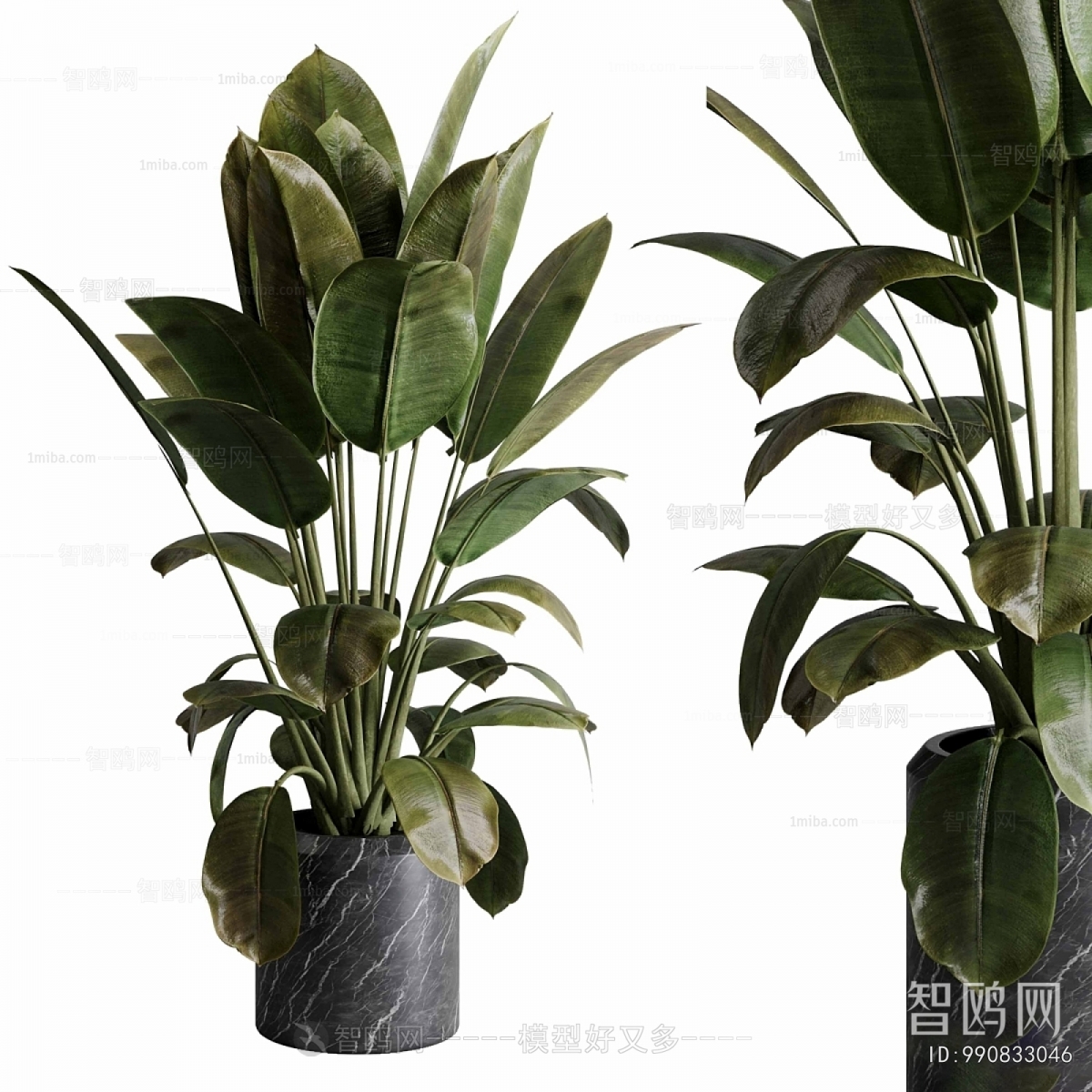 Modern Ground Green Plant Potted Plants