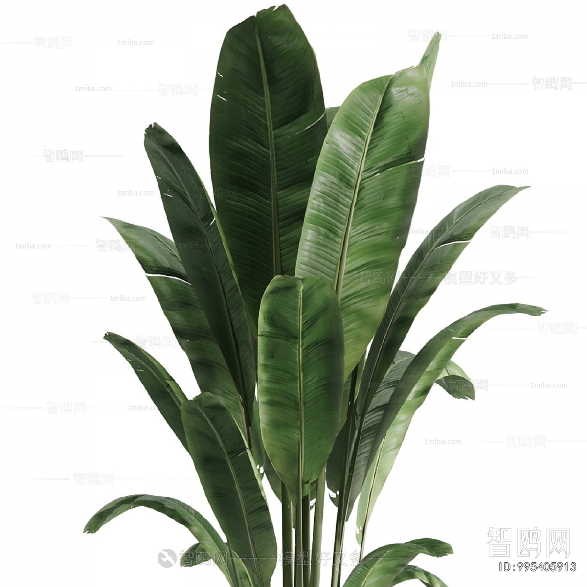 Modern Ground Green Plant Potted Plants