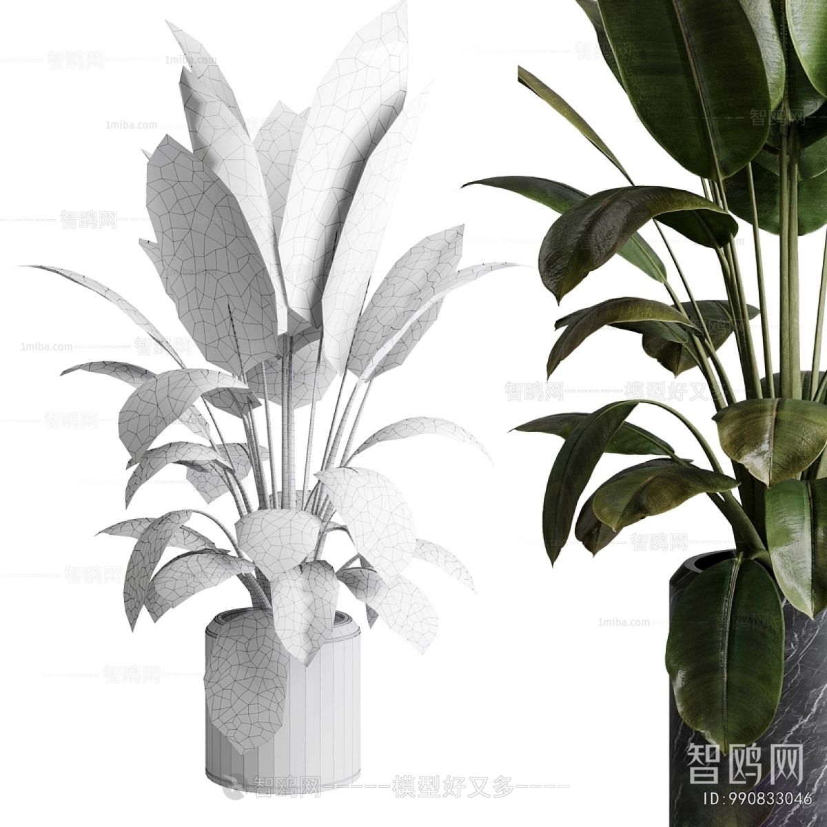 Modern Ground Green Plant Potted Plants