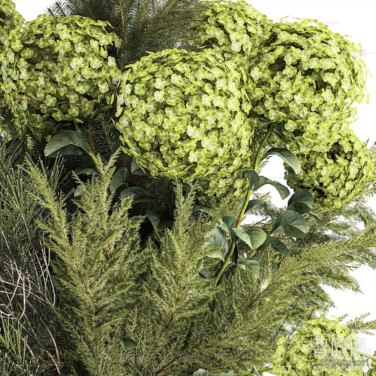 Modern Flower Arrangement