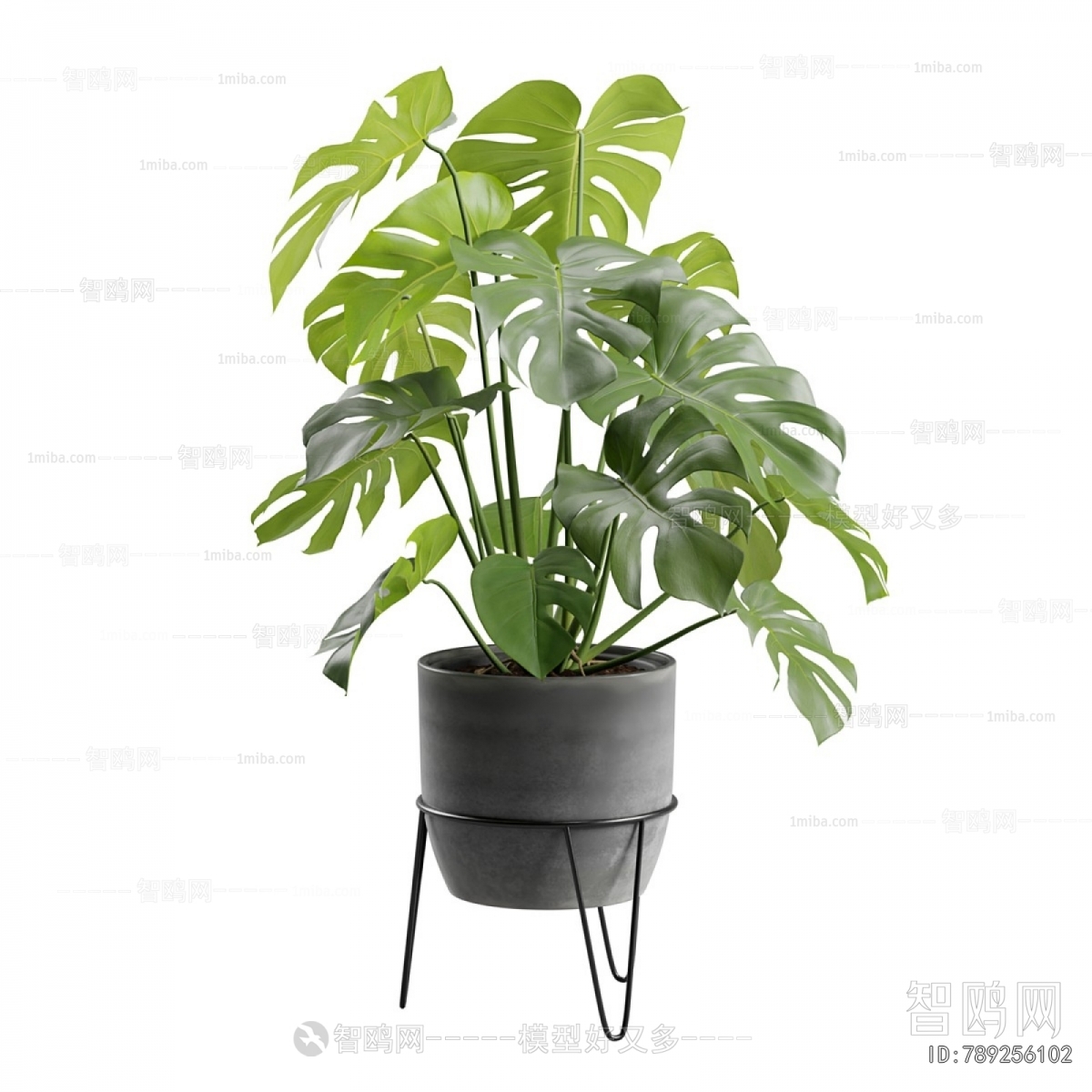 Modern Potted Green Plant