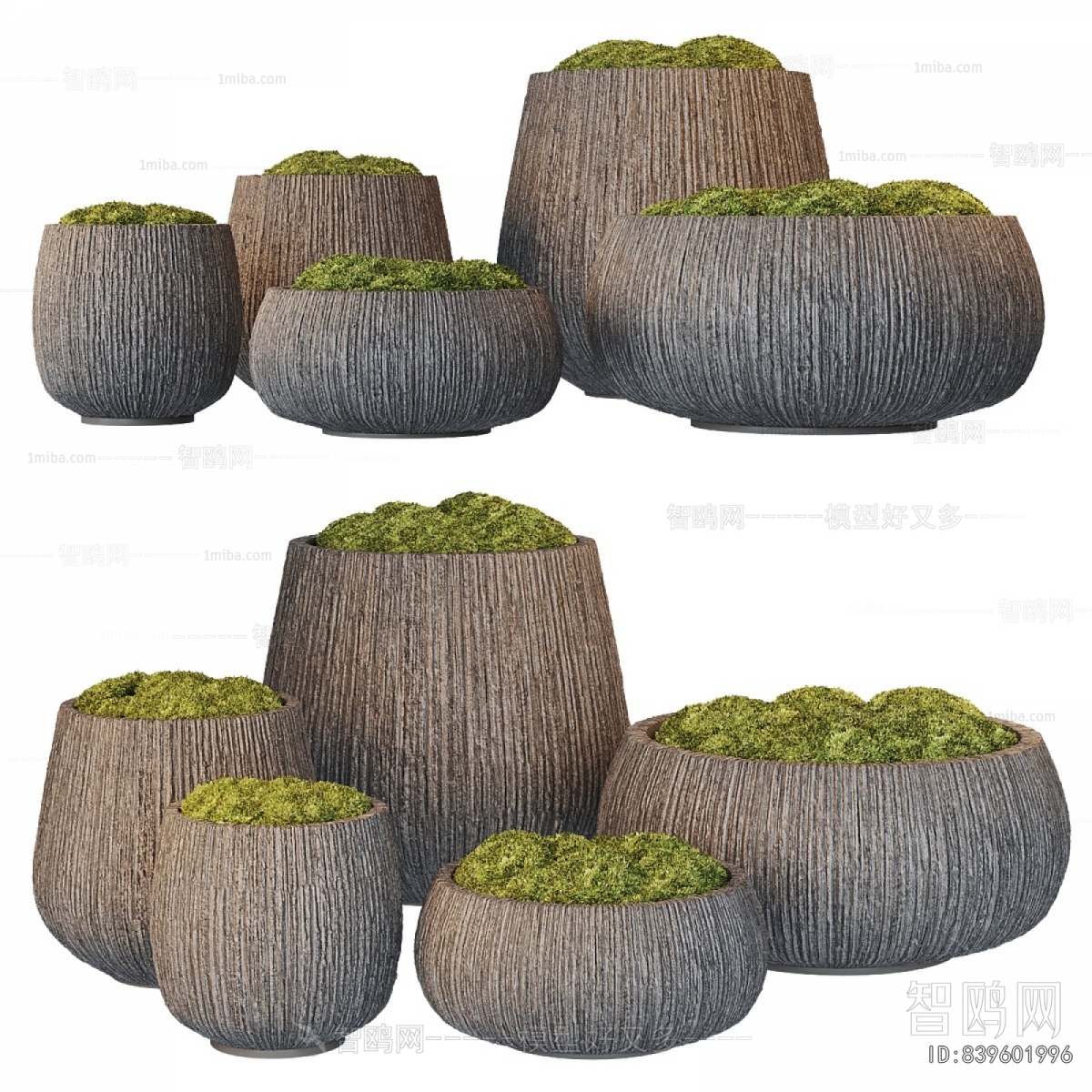 Modern Desktop Plant