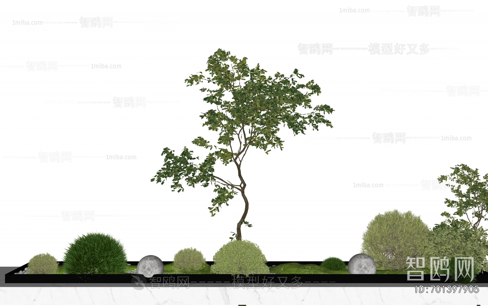 Modern Plant Landscaping