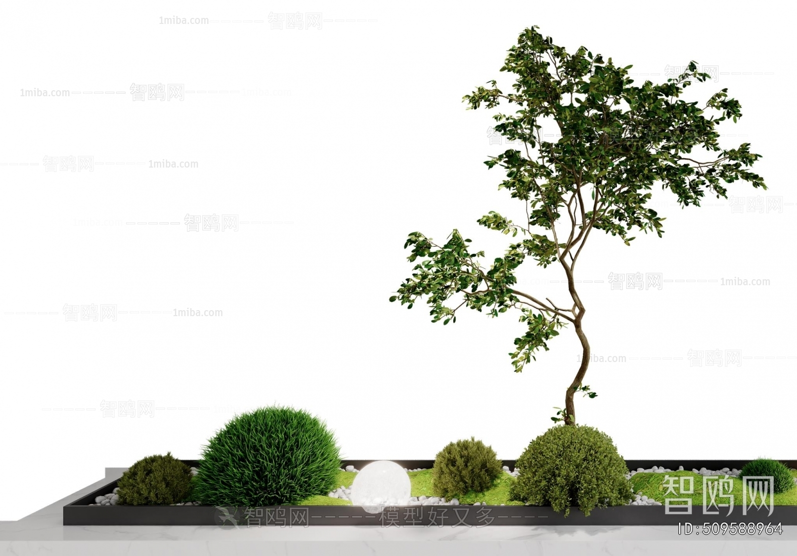 Modern Plant Landscaping