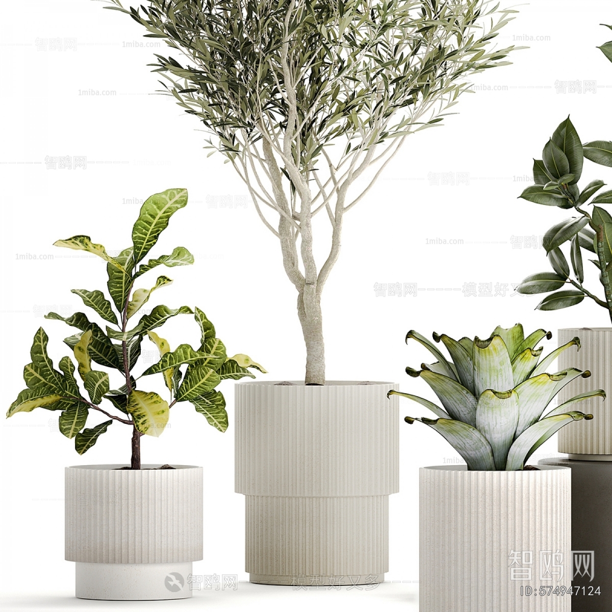 Modern Ground Green Plant Potted Plants