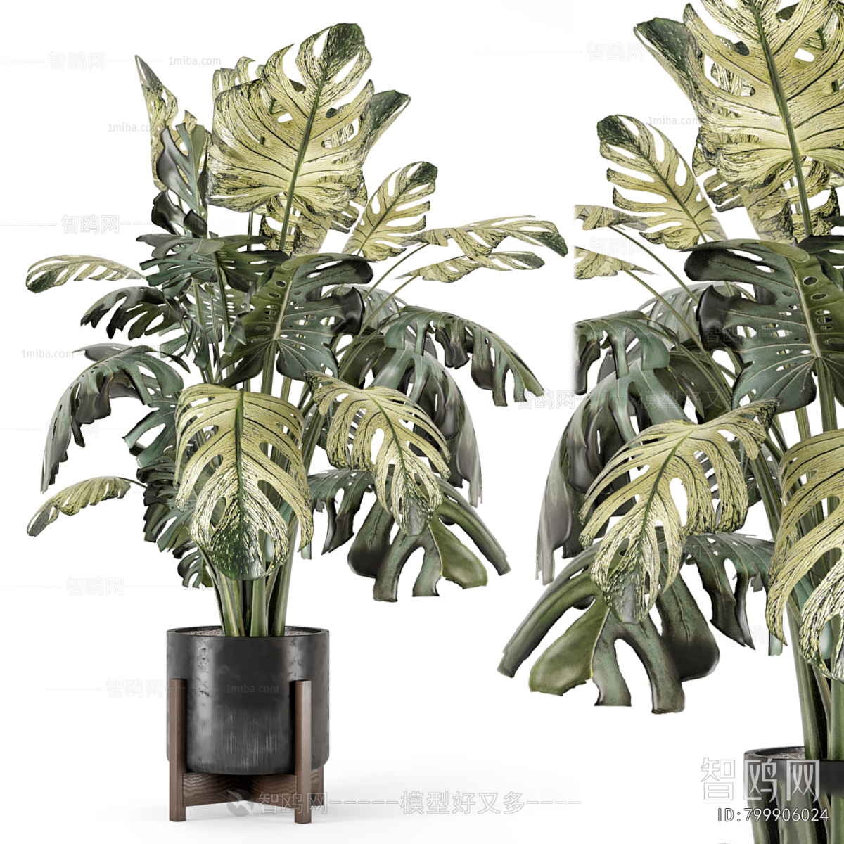 Modern Ground Green Plant Potted Plants
