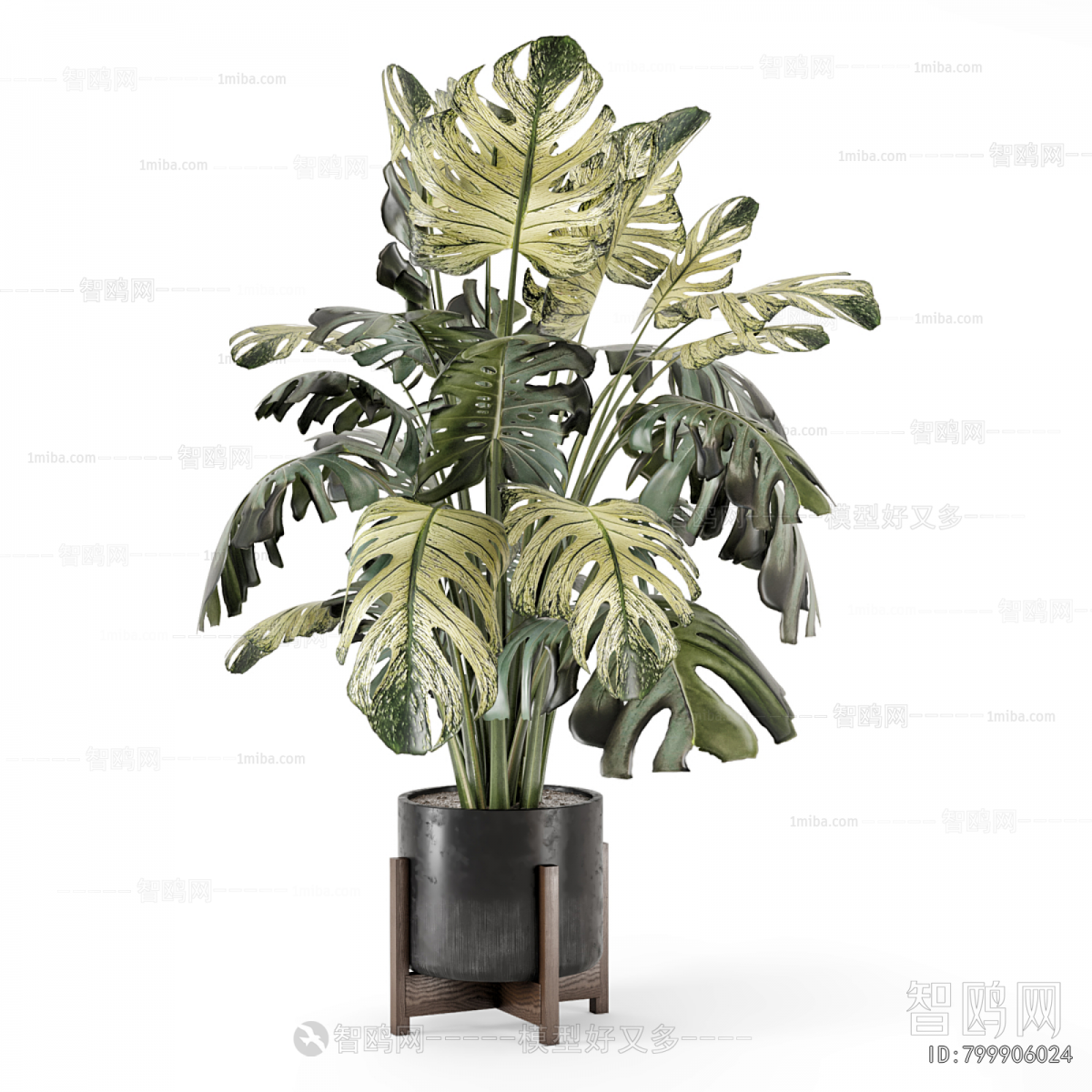 Modern Ground Green Plant Potted Plants