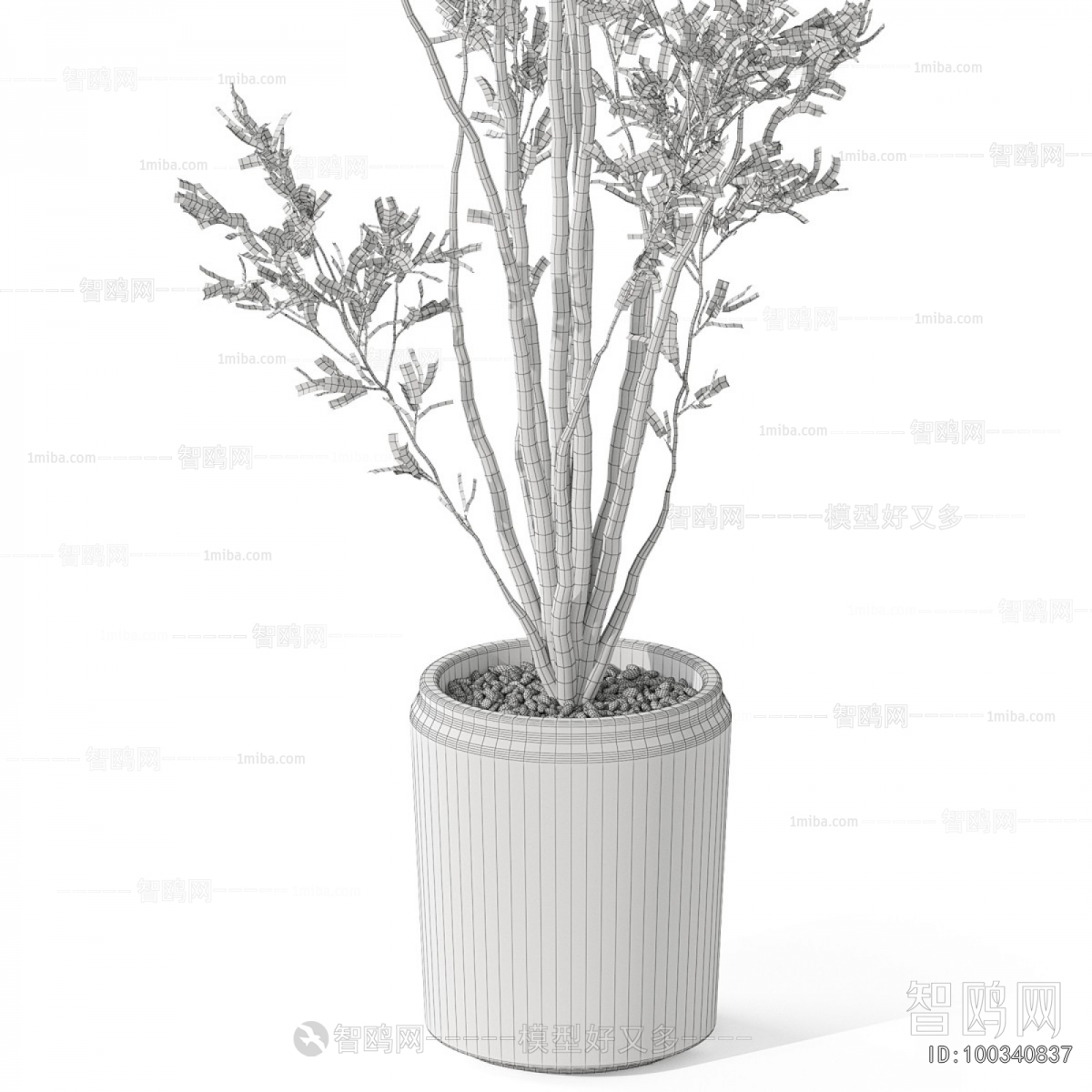 Modern Ground Green Plant Potted Plants