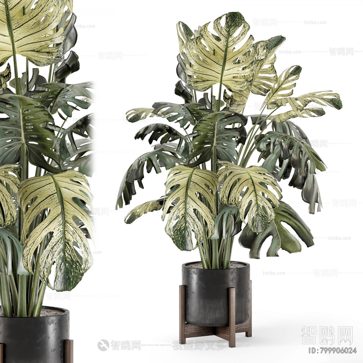 Modern Ground Green Plant Potted Plants