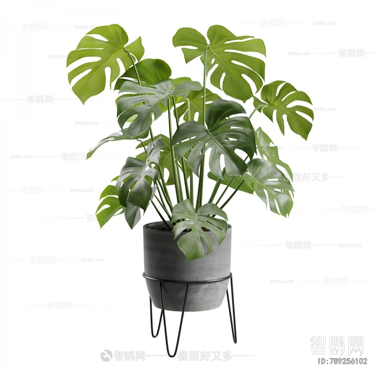 Modern Potted Green Plant